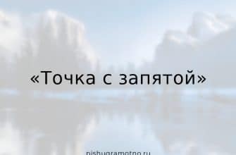 Тест на тему "Точка с запятой"