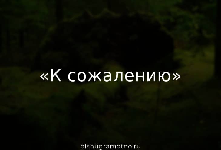 «К сожалению» или «к сожаленью» – как правильно пишется