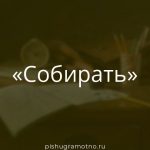 Морфологический разбор 