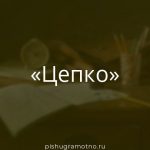 Морфологический разбор 