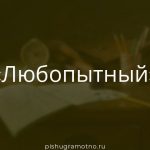 Морфологический разбор 