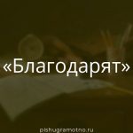 Морфологический разбор 