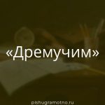 Морфологический разбор 