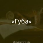 Морфологический разбор 