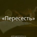 Морфологический разбор 