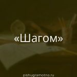 Морфологический разбор 