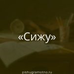 Морфологический разбор 