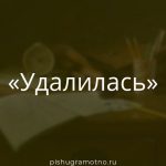 Морфологический разбор 