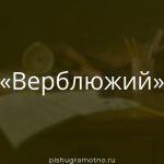 Морфологический разбор 