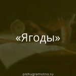 Морфологический разбор 