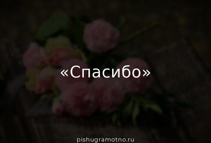 fitdiets.ru - Выразить благодарность