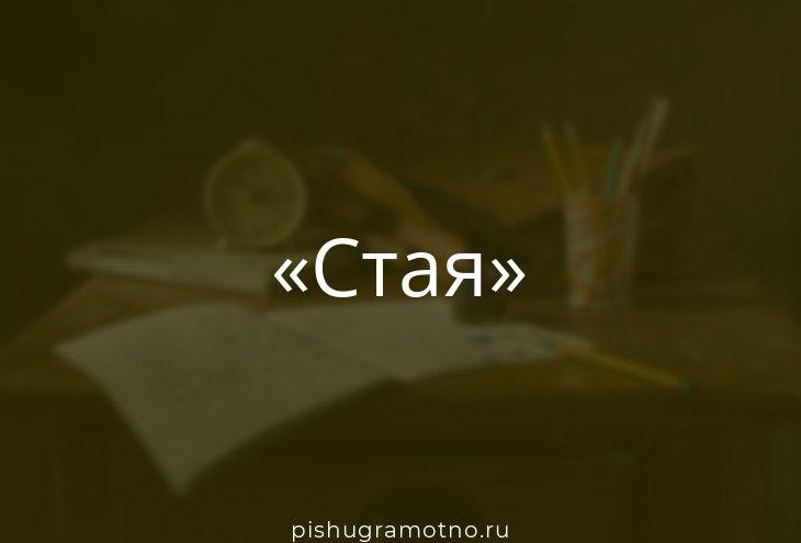 вместе падеж вместе падеж