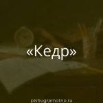 Морфологический разбор 