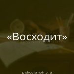 Морфологический разбор 