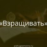 Морфологический разбор 