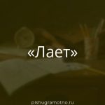 Морфологический разбор 