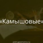 Морфологический разбор 
