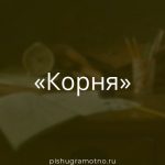 Морфологический разбор 