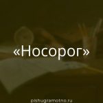 Морфологический разбор 