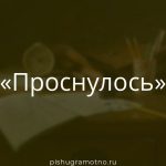 Морфологический разбор 