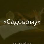 Морфологический разбор 