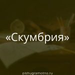 Морфологический разбор 