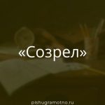 Морфологический разбор 