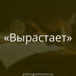 Морфологический разбор 
