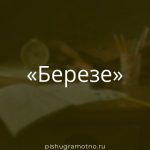 Морфологический разбор 