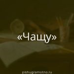 Морфологический разбор 