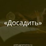 Морфологический разбор 