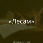 Морфологический разбор 