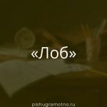 Морфологический разбор 