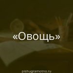 Морфологический разбор 