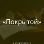 Морфологический разбор 
