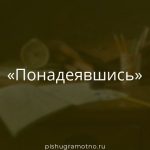 Морфологический разбор 