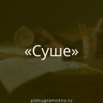 Морфологический разбор 