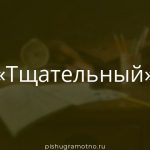 Морфологический разбор 