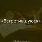Морфологический разбор 