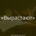 Морфологический разбор 