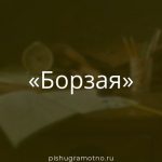 Морфологический разбор 