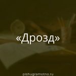 Морфологический разбор 