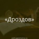 Морфологический разбор 