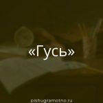 Морфологический разбор 