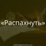 Морфологический разбор 