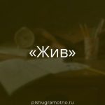 Морфологический разбор 
