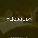 Морфологический разбор 