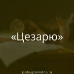 Морфологический разбор 