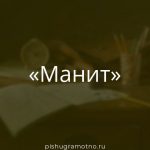 Морфологический разбор 