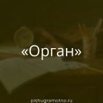 Морфологический разбор 